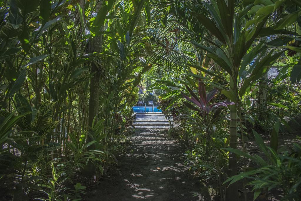 Atlantida Lodge Cahuita Kültér fotó
