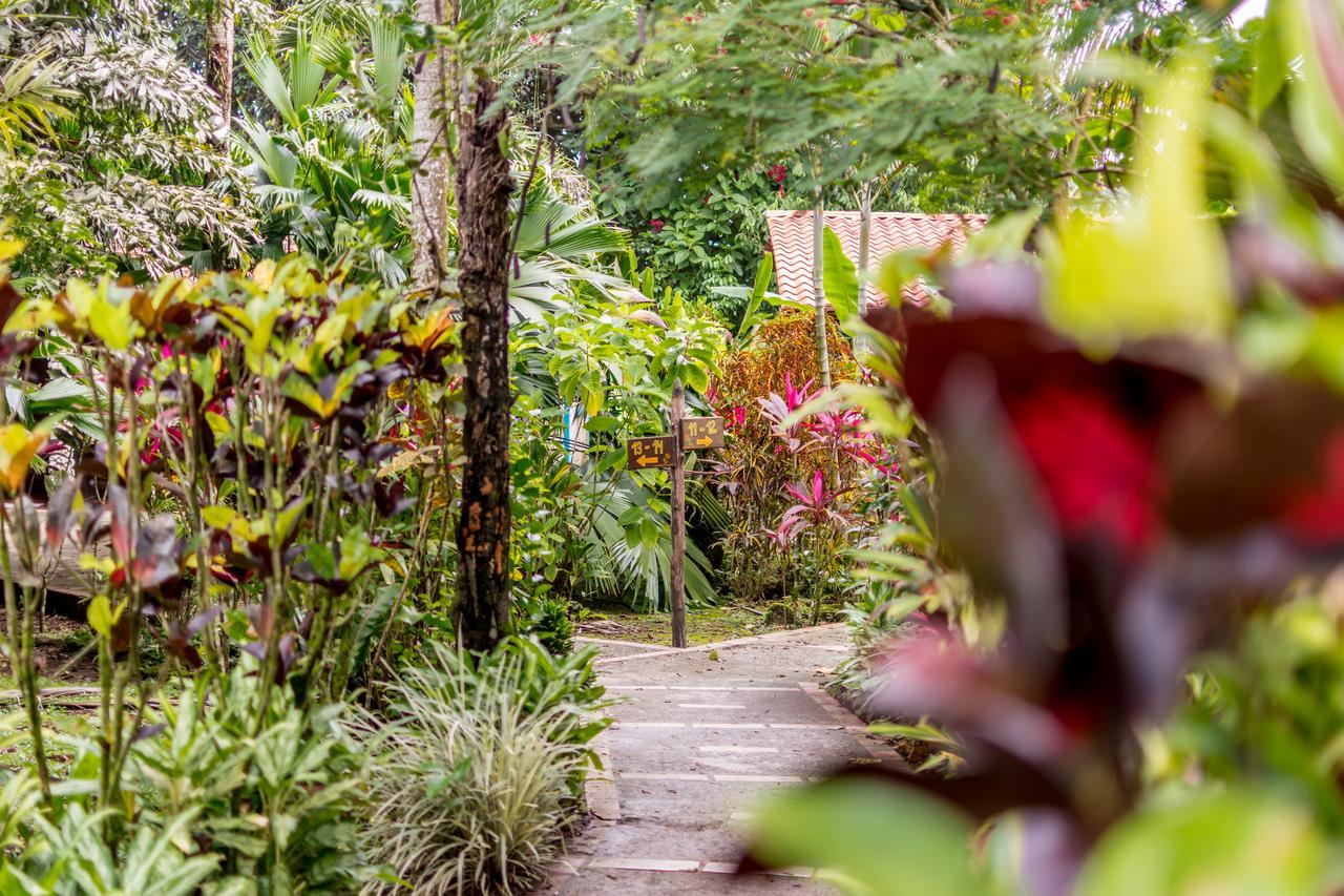 Atlantida Lodge Cahuita Kültér fotó